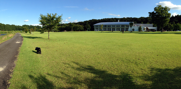 那須町余笹川沿いの河畔公園で我が家の犬の散歩道です。いつ行ってもほぼ貸し切り状態でワンコにとっては天国ですね。散歩しながら清流余笹川の四季の移り変わる風景を楽しんでいます。