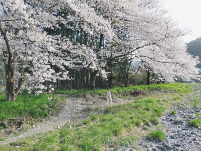 Oさんの田舎移住とハーフビルド