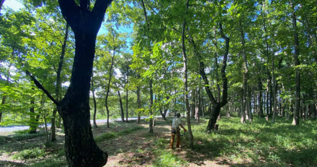 那須横沢の土地で家づくりがスタート
